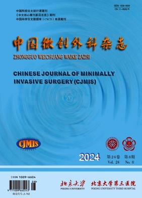 中国微创外科杂志封面